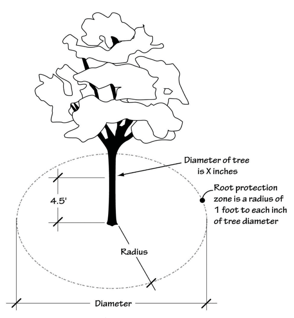 Tree Preservation SQFT Studios Portland, Oregon